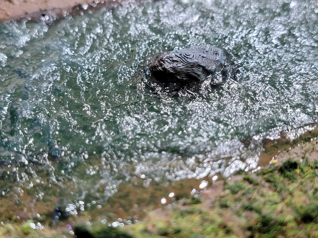 Off the Bench:&nbsp;Ireland